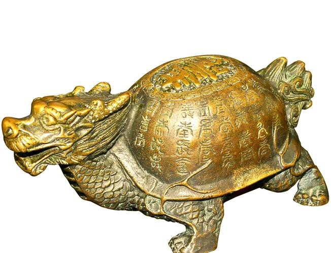 10萬(wàn)以上龍龜圖片【圖行天下龍龜圖片鑒定】 龍魚(yú)論壇 第4張 10萬(wàn)以上龍龜圖片【圖行天下龍龜圖片鑒定】 10萬(wàn)以上龍龜圖片【圖行天下龍龜圖片鑒定】 龍魚(yú)論壇 第4張