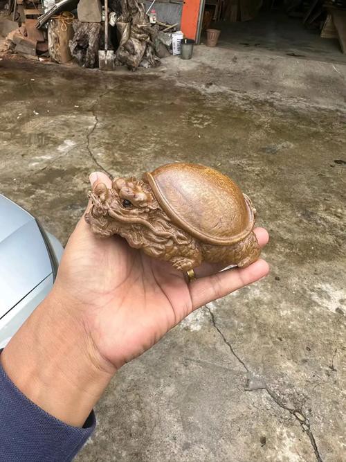 10萬(wàn)以上龍龜圖片【圖行天下龍龜圖片鑒定】 龍魚(yú)論壇 第13張 10萬(wàn)以上龍龜圖片【圖行天下龍龜圖片鑒定】 10萬(wàn)以上龍龜圖片【圖行天下龍龜圖片鑒定】 龍魚(yú)論壇 第13張