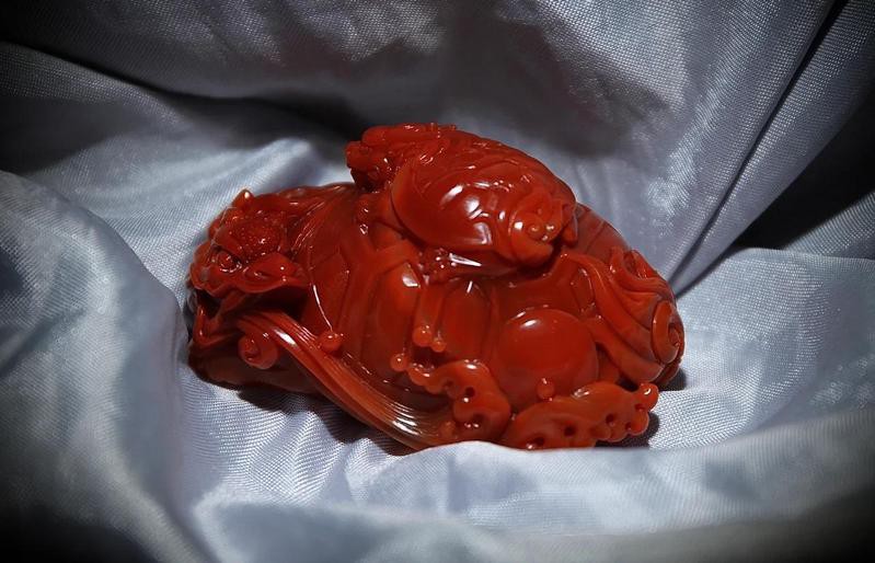 10萬(wàn)以上龍龜圖片【圖行天下龍龜圖片鑒定】 10萬(wàn)以上龍龜圖片【圖行天下龍龜圖片鑒定】 龍魚(yú)論壇 第28張