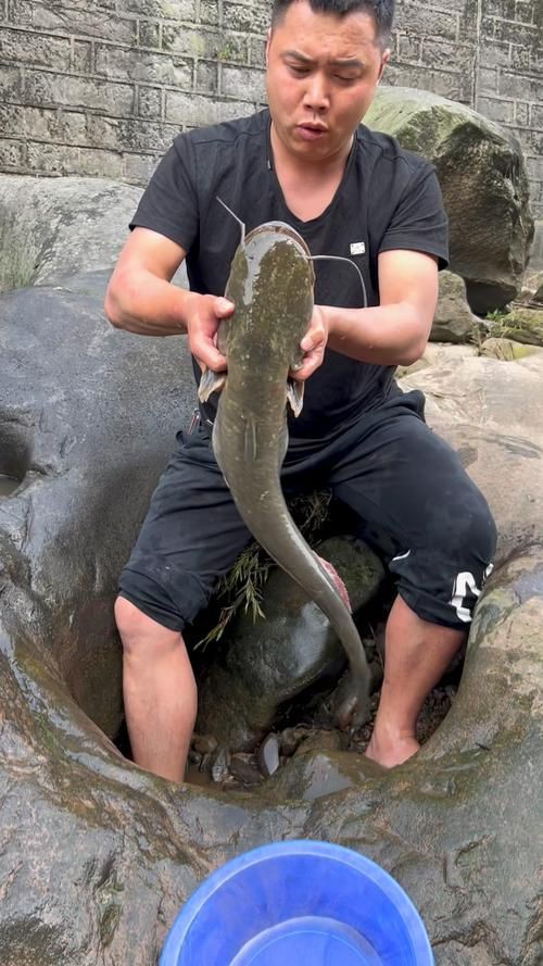 鰱魚長什么樣子圖片【吃貨必看：白鰱花鰱分不清一篇搞懂怎么吃才香】