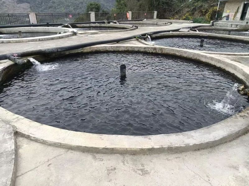 開陽龍魚店【開陽有沒有觀賞性龍魚店】