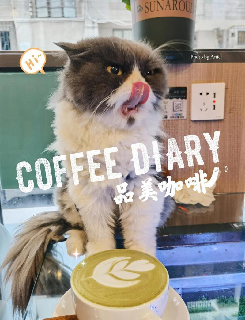 開(kāi)平水族店【唐山市開(kāi)平區(qū)哪家水族店口碑最好】