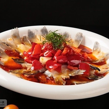 徐匯龍魚店【徐匯區(qū)有哪些龍魚店】