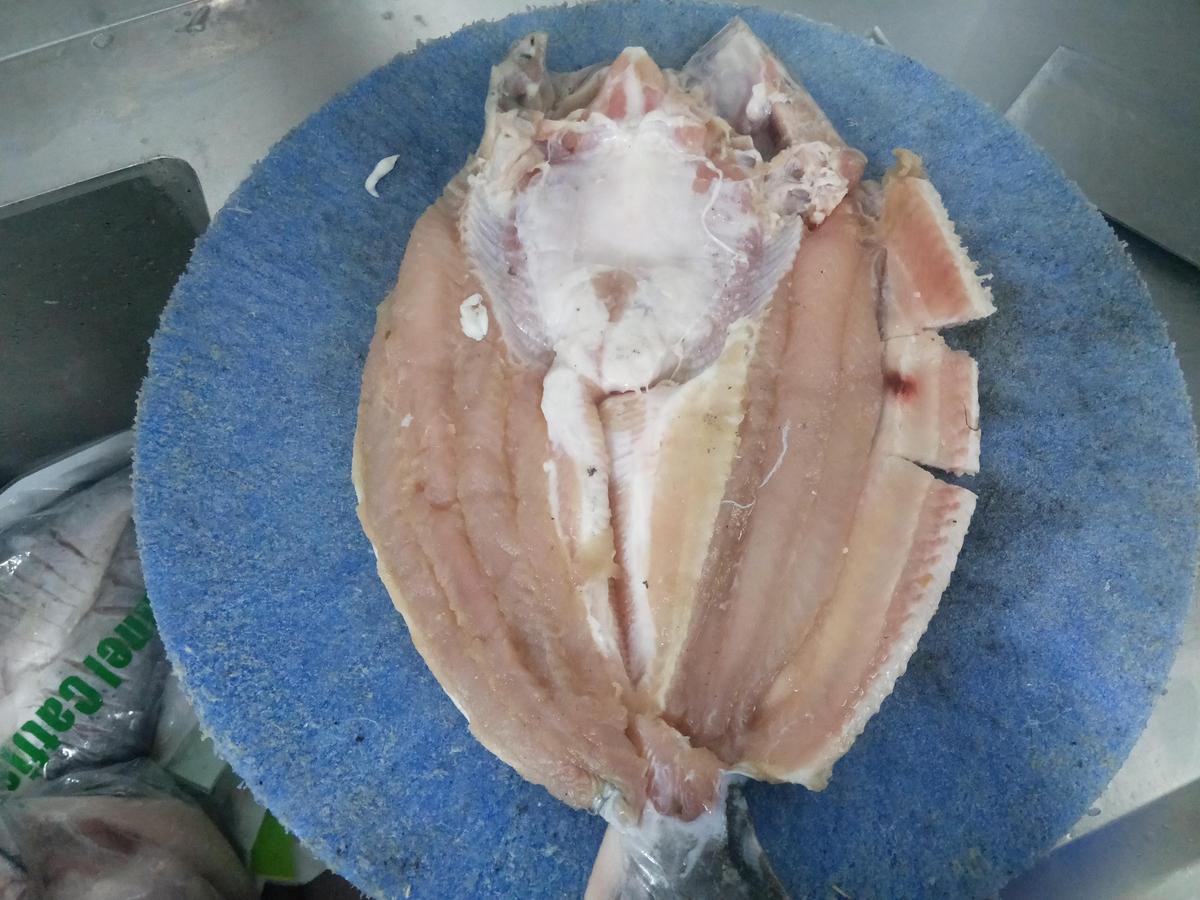 東遼龍魚店【東遼龍魚店有哪些特色品種】