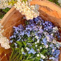 家里有必要買魚缸嗎【家里放魚缸有什么好處？】 家里有必要買魚缸嗎【家里放魚缸有什么好處？】 全國水族館企業名錄 第7張