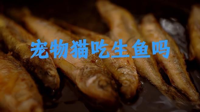 貓吃生魚(yú)的好處和壞處【貓吃生魚(yú)好嗎】 貓吃生魚(yú)的好處和壞處【貓吃生魚(yú)好嗎】 龍魚(yú)百科 第7張