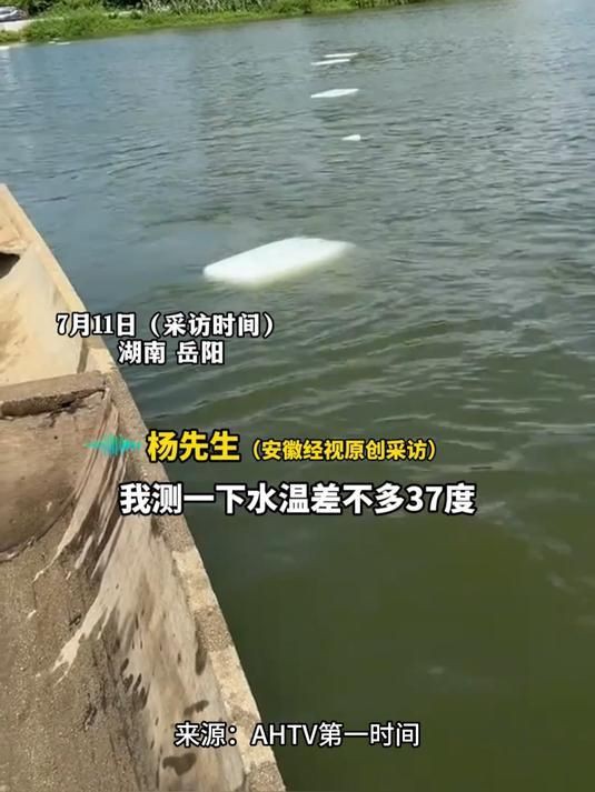 如何預(yù)防魚(yú)浮在水面上張嘴？【魚(yú)浮出水面不停的張嘴怎么辦】