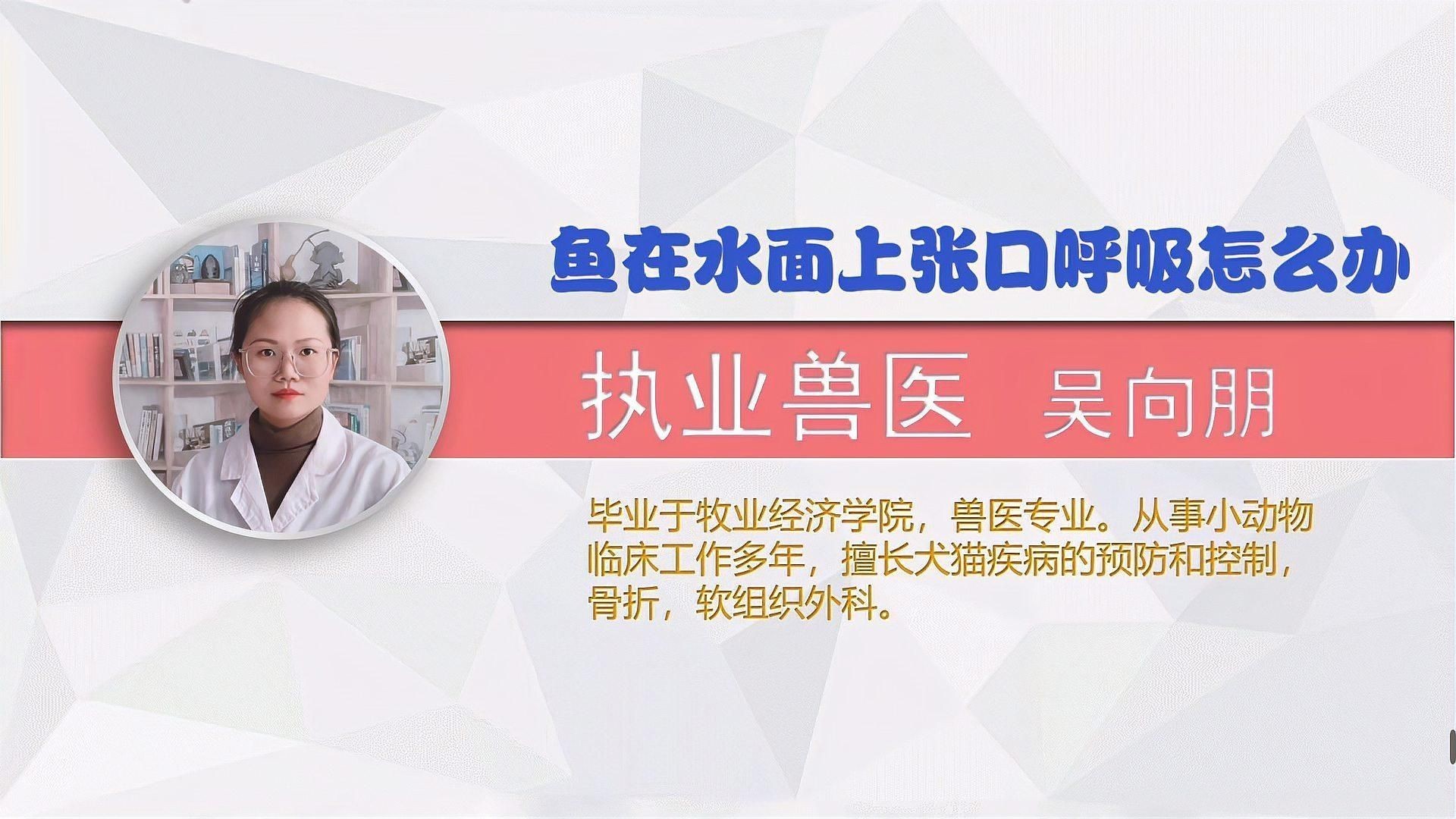如何預(yù)防魚(yú)浮在水面上張嘴？【魚(yú)浮出水面不停的張嘴怎么辦】
