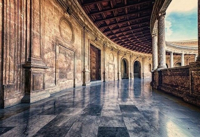 金龍魚是淡水魚嗎還是海魚【金龍魚的典型的淡水魚類特征和行為特征，金龍魚的特征】