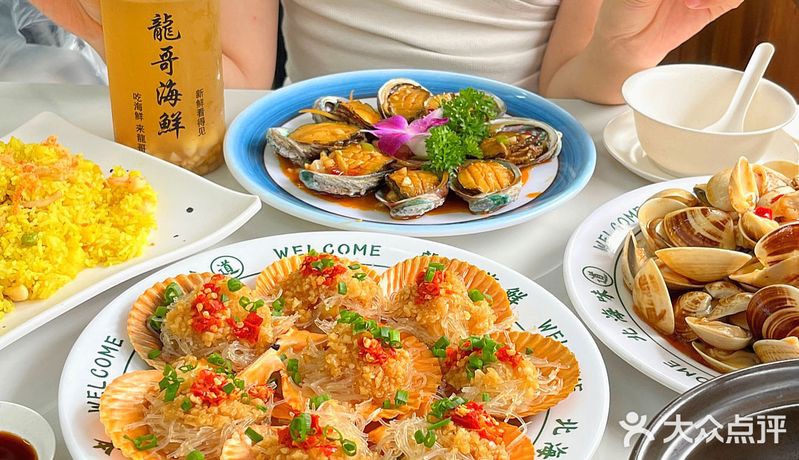 北海龍魚店【北海哪家龍魚店最受歡迎】