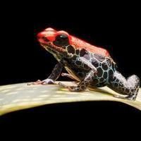 魚缸尺寸最好最吉利【魚缸尺寸全攻略】 龍魚百科 第14張 魚缸尺寸最好最吉利【魚缸尺寸全攻略】 魚缸尺寸最好最吉利【魚缸尺寸全攻略】 龍魚百科 第14張