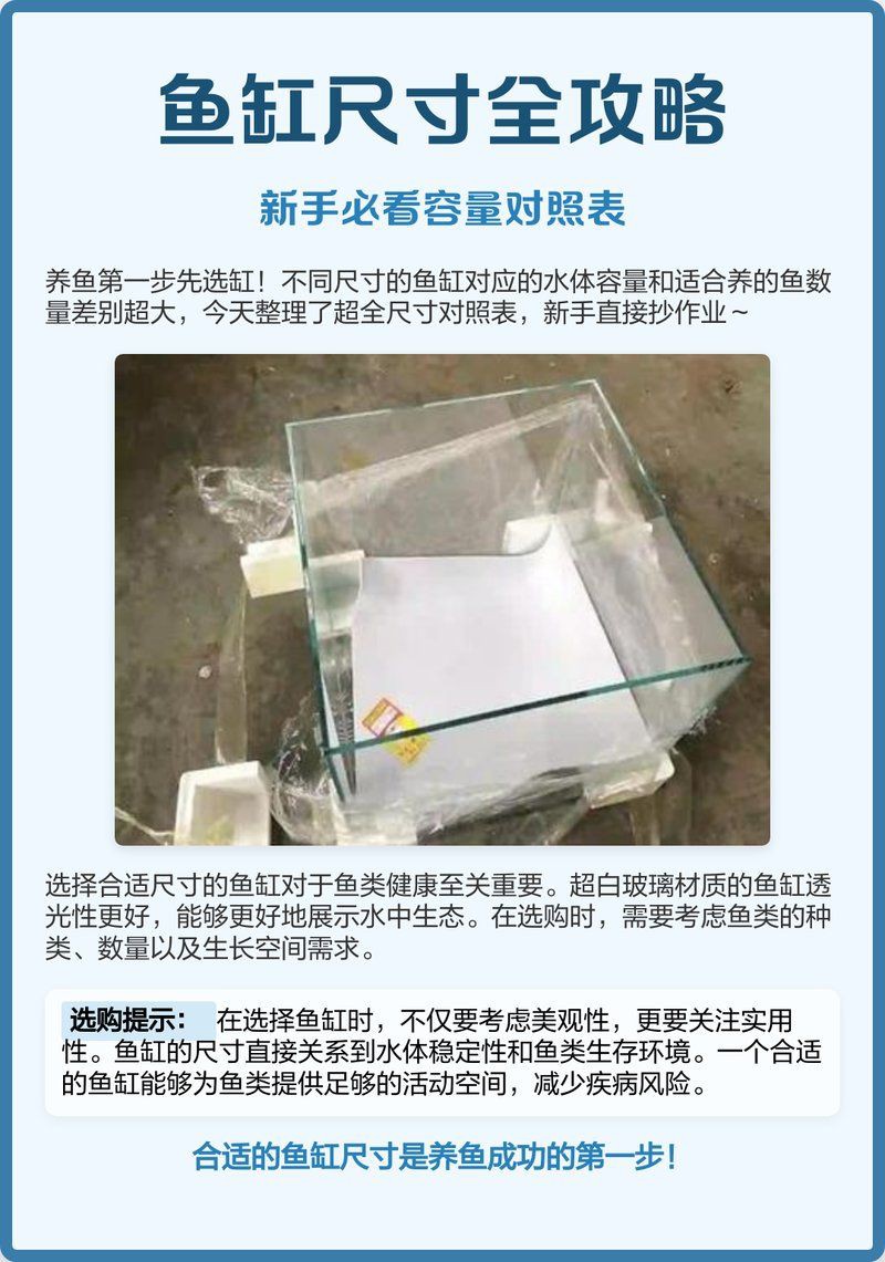 魚缸尺寸最好最吉利【魚缸尺寸全攻略】 龍魚百科 第7張 魚缸尺寸最好最吉利【魚缸尺寸全攻略】 魚缸尺寸最好最吉利【魚缸尺寸全攻略】 龍魚百科 第7張