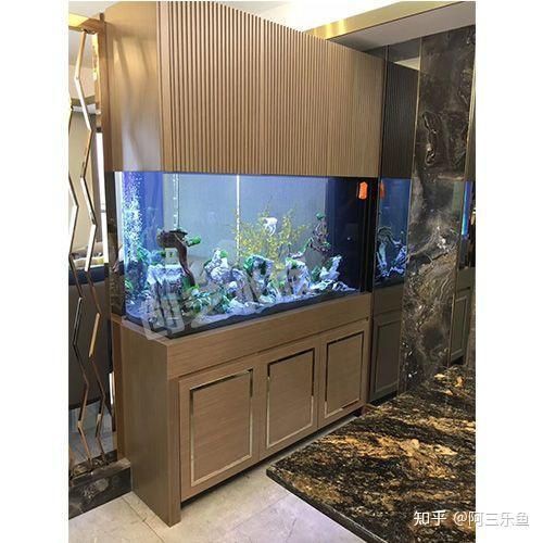 魚缸尺寸最好最吉利【魚缸尺寸全攻略】 龍魚百科 第11張 魚缸尺寸最好最吉利【魚缸尺寸全攻略】 魚缸尺寸最好最吉利【魚缸尺寸全攻略】 龍魚百科 第11張