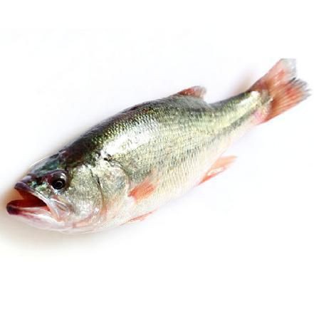 桂花魚有魚鱗還是無鱗【桂花魚有魚鱗還是無鱗，很多人不知道“這3步”,怪不得蒸出來魚肉又老又腥】