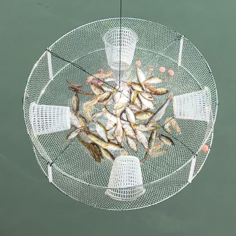 撈魚網圖片【撈魚網圖片及相關產品推薦】 龍魚百科 第32張 撈魚網圖片【撈魚網圖片及相關產品推薦】 撈魚網圖片【撈魚網圖片及相關產品推薦】 龍魚百科 第32張