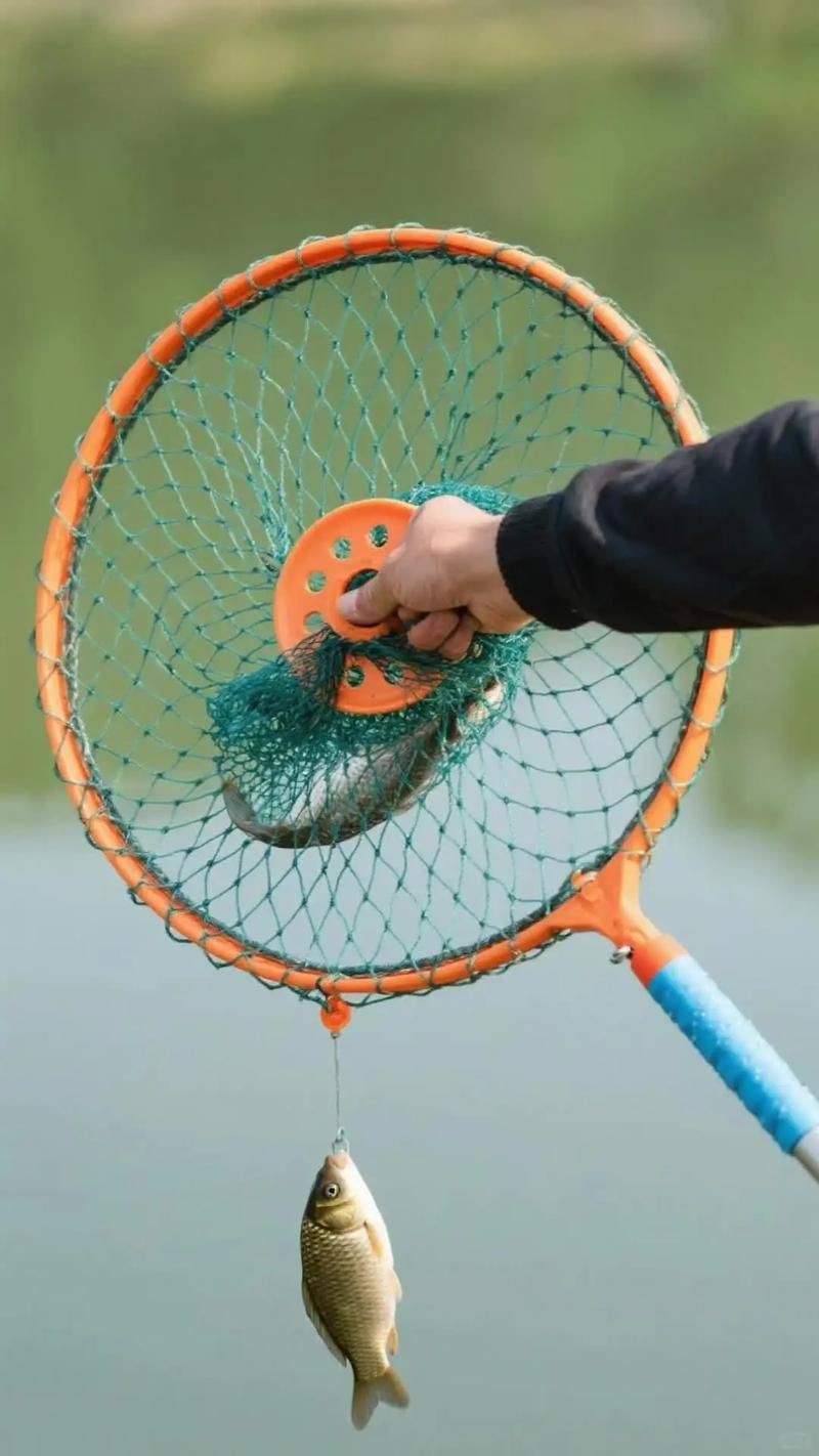 撈魚網圖片【撈魚網圖片及相關產品推薦】 龍魚百科 第12張 撈魚網圖片【撈魚網圖片及相關產品推薦】 撈魚網圖片【撈魚網圖片及相關產品推薦】 龍魚百科 第12張