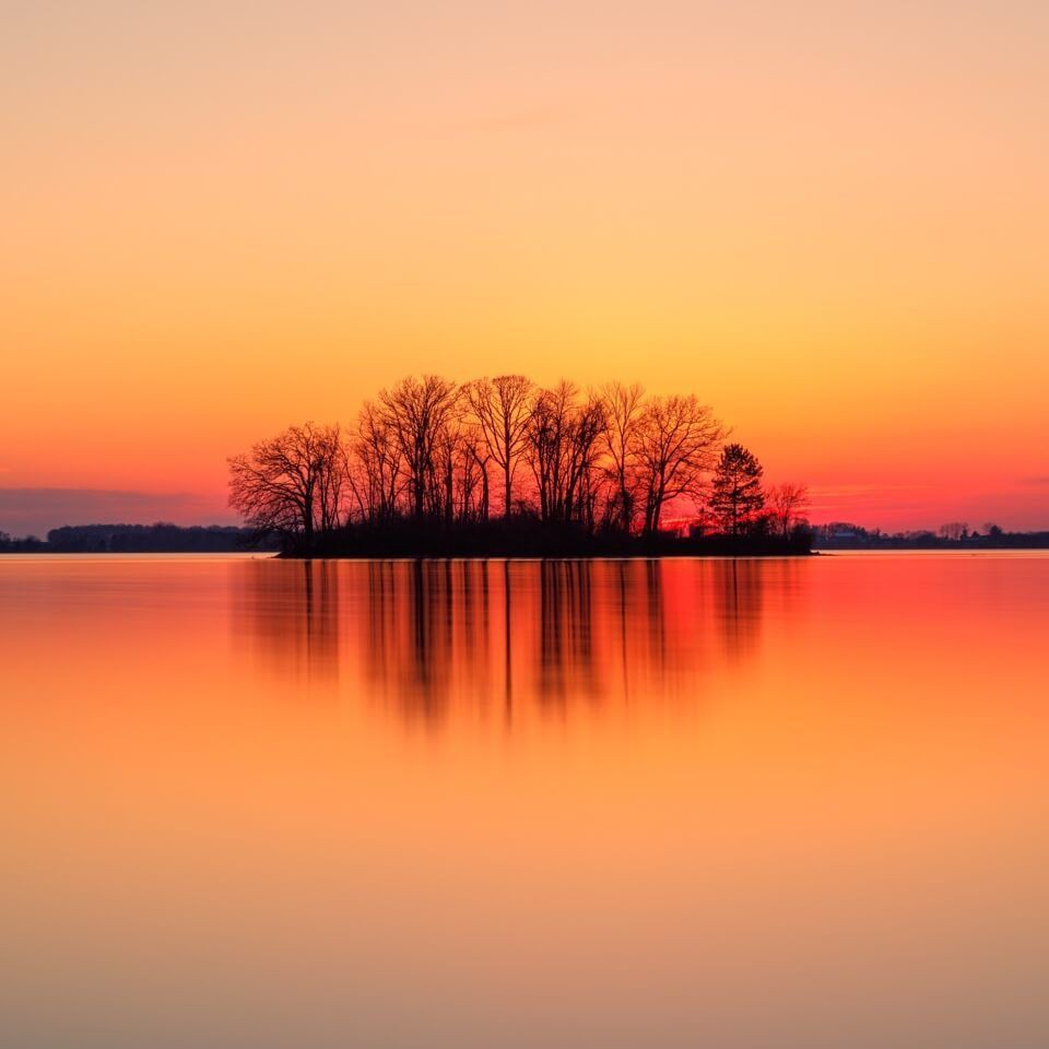 渭南龍魚店【吳朝陽親眼見證兩商戶為爭搶馬來西亞漁場的直供權】