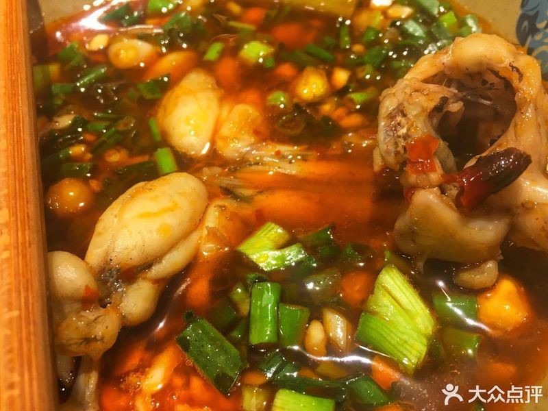 南川水族店【南川區(qū)哪家水族店口碑最好】