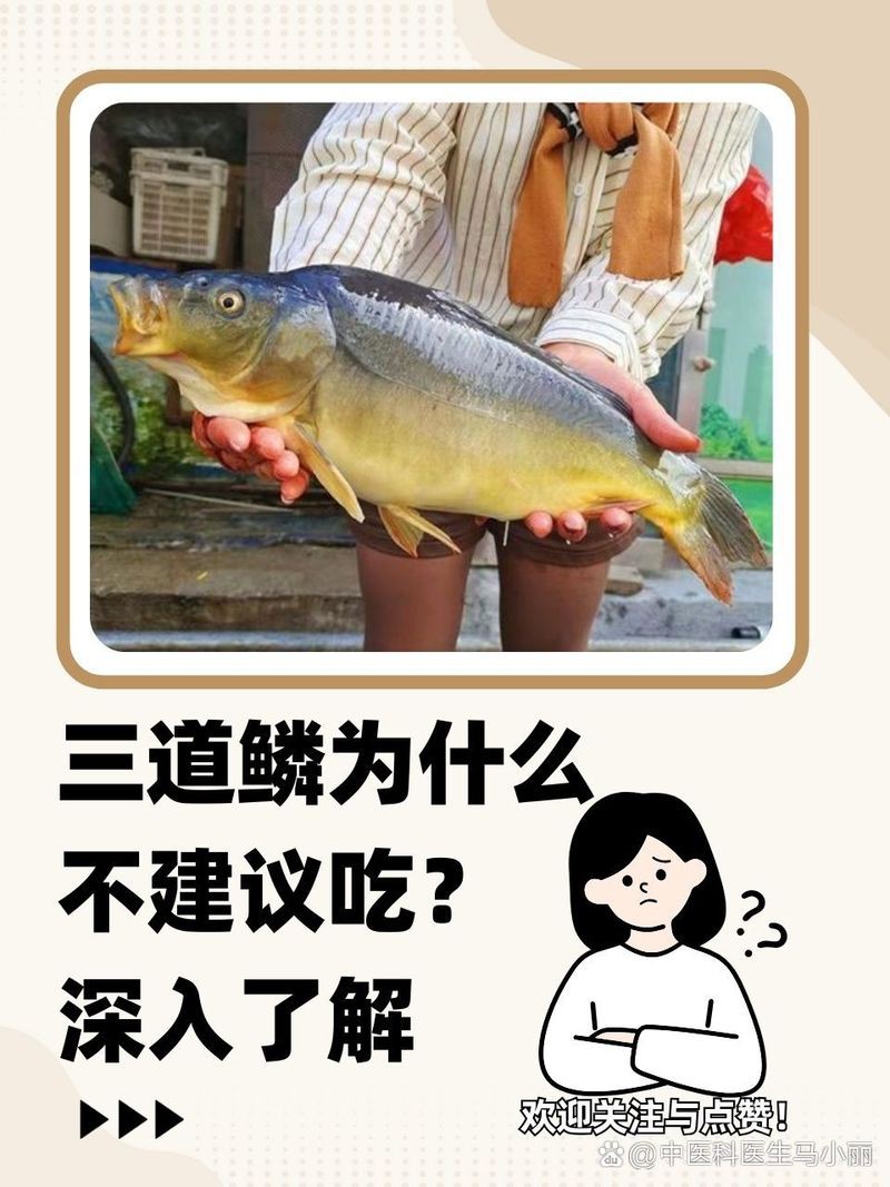 三花鯉魚為啥不建議吃【三花鯉魚為什么不宜吃】
