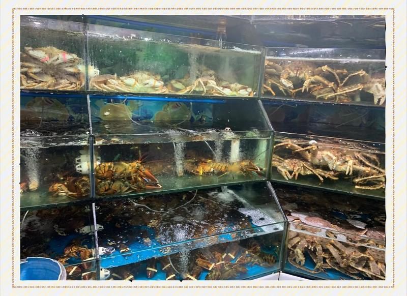 南昌水族批發市場【南昌水族批發市場怎么樣】