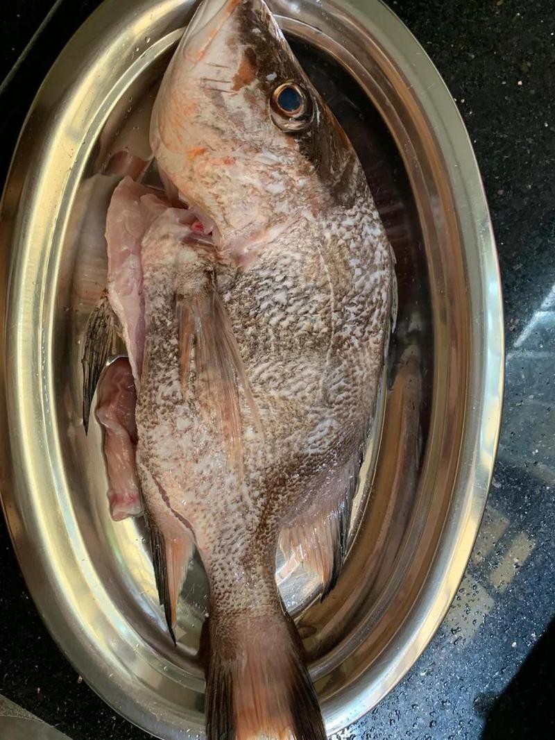 三刀魚有幾種圖片【\