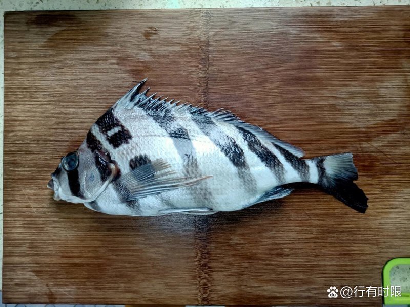 三刀魚有幾種圖片【\