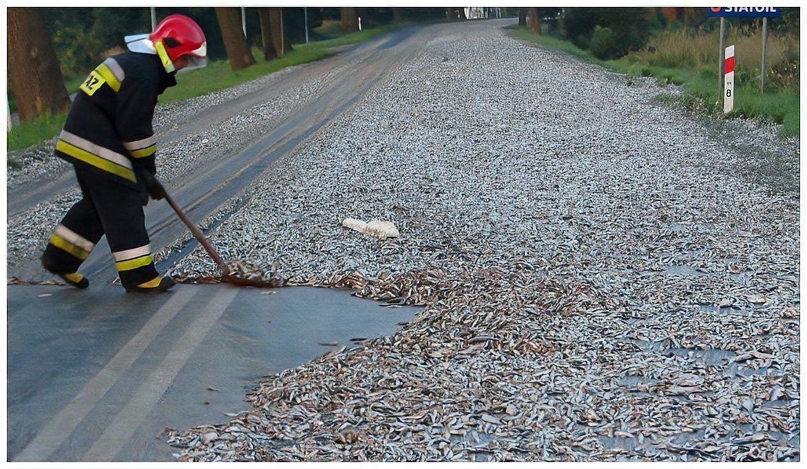 世界上真的有魚雨嗎【《世界上真的有魚雨嗎》 世界上真的有魚雨嗎【《世界上真的有魚雨嗎》\