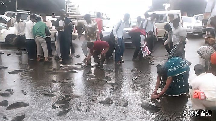世界上真的有魚雨嗎【《世界上真的有魚雨嗎》 世界上真的有魚雨嗎【《世界上真的有魚雨嗎》\