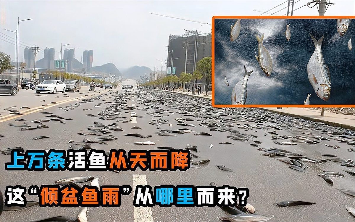 世界上真的有魚雨嗎【《世界上真的有魚雨嗎》 世界上真的有魚雨嗎【《世界上真的有魚雨嗎》\