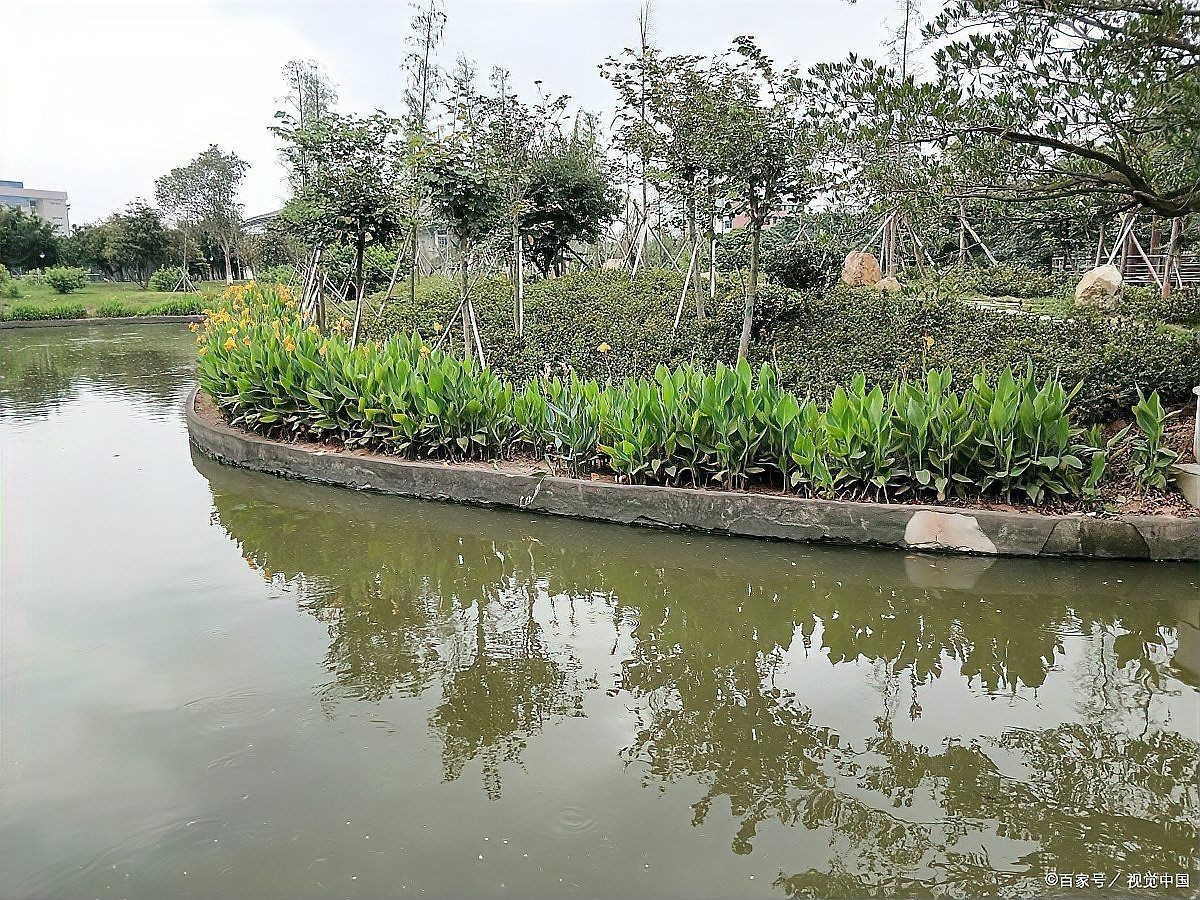 甲氰菊酯毒魚一畝用多少【甲氰菊酯毒魚后多久見效】 龍魚論壇 第7張 甲氰菊酯毒魚一畝用多少【甲氰菊酯毒魚后多久見效】 甲氰菊酯毒魚一畝用多少【甲氰菊酯毒魚后多久見效】 龍魚論壇 第7張