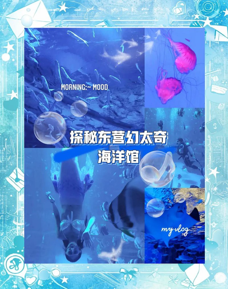 東營水族店【東營區水族店哪家好】 東營水族店【東營區水族店哪家好】 全國水族館企業名錄 第1張
