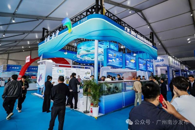 南沙龍魚店【南沙龍魚店有哪些特色品種】 南沙龍魚店【南沙龍魚店有哪些特色品種】 全國水族館企業名錄 第1張