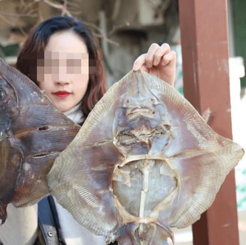魔鬼魚吃人的照片【“魔鬼魚吃同事”事件實為誤傳，海洋館回應稱是誤食】 魔鬼魚吃人的照片【“魔鬼魚吃同事”事件實為誤傳，海洋館回應稱是誤食】 龍魚百科 第13張