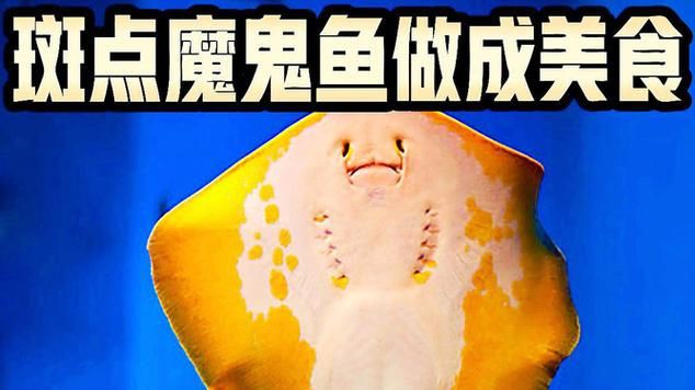 魔鬼魚吃人的照片【“魔鬼魚吃同事”事件實為誤傳，海洋館回應稱是誤食】 魔鬼魚吃人的照片【“魔鬼魚吃同事”事件實為誤傳，海洋館回應稱是誤食】 龍魚百科 第18張