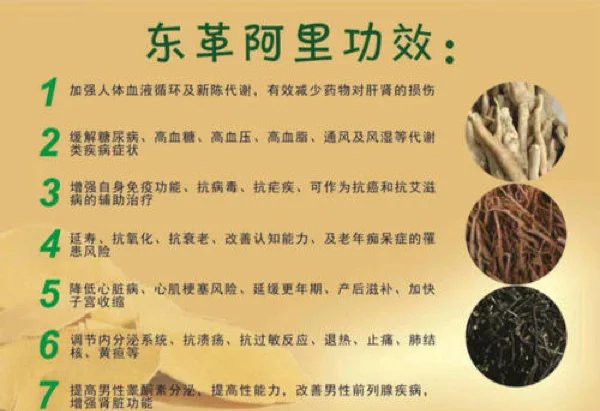 東革阿里對糖尿病功效