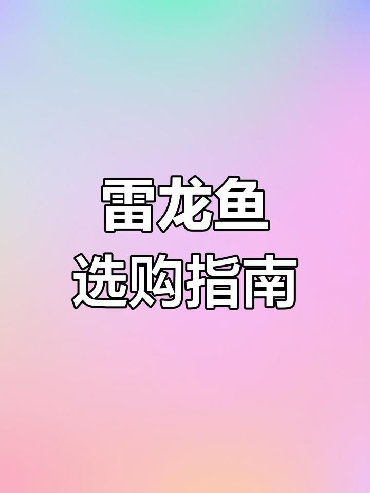 雷龍魚哪個品種好【嗶哩嗶哩嗶哩嗶哩,00:50四大雷龍品種大揭秘】