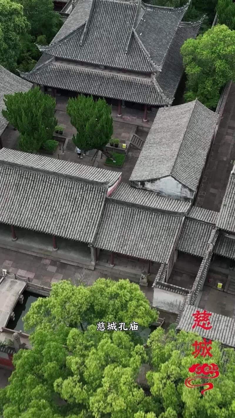 魚化龍紋飾在瓷器上的應用【魚化龍紋飾在瓷器上的應用——魚化龍紋飾】