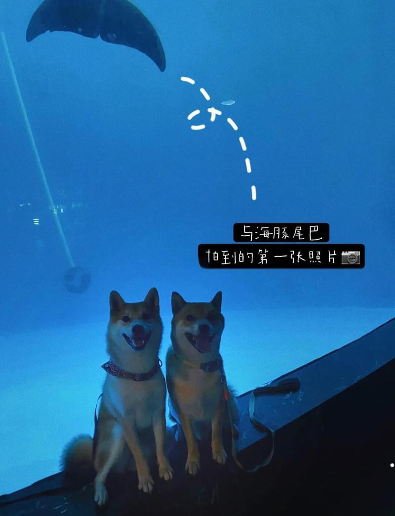 友好水族店【《友好水族店》——友好水族店】