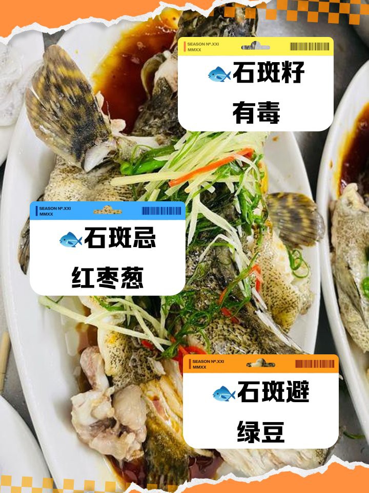 申古寶石魚最忌三種食物【關(guān)于申古寶石魚飼養(yǎng)的注意事項(xiàng)】 申古寶石魚最忌三種食物【關(guān)于申古寶石魚飼養(yǎng)的注意事項(xiàng)】 龍魚論壇 第2張