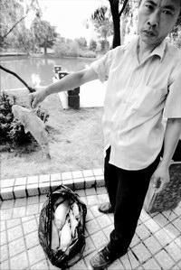 鯉魚害死了多少孩子【“鯉魚害死了多少孩子”這一說法引發(fā)諸多討論引發(fā)討論】