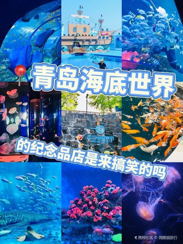 市南水族店【青島市南區(qū)擁有多家特色水族店涵蓋觀賞魚銷售、寵物飼養(yǎng)及用品服務(wù)等業(yè)態(tài)】 全國水族館企業(yè)名錄 第6張 市南水族店【青島市南區(qū)擁有多家特色水族店涵蓋觀賞魚銷售、寵物飼養(yǎng)及用品服務(wù)等業(yè)態(tài)】 市南水族店【青島市南區(qū)擁有多家特色水族店涵蓋觀賞魚銷售、寵物飼養(yǎng)及用品服務(wù)等業(yè)態(tài)】 全國水族館企業(yè)名錄 第6張