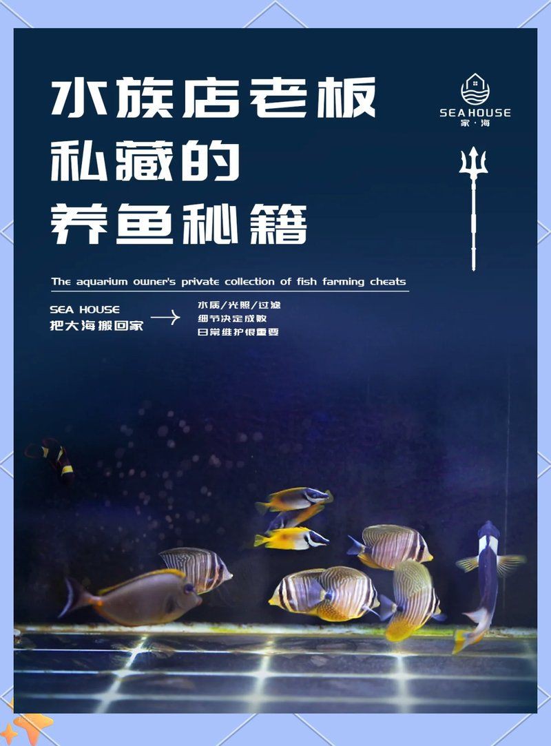 欽州魚缸店【水族店老板的養(yǎng)魚秘籍】 欽州魚缸店【水族店老板的養(yǎng)魚秘籍】 全國水族館企業(yè)名錄 第21張