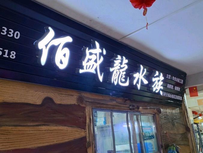 荊州魚缸定做【荊州地區的魚缸定做服務展現出多樣化與專業化的特點】