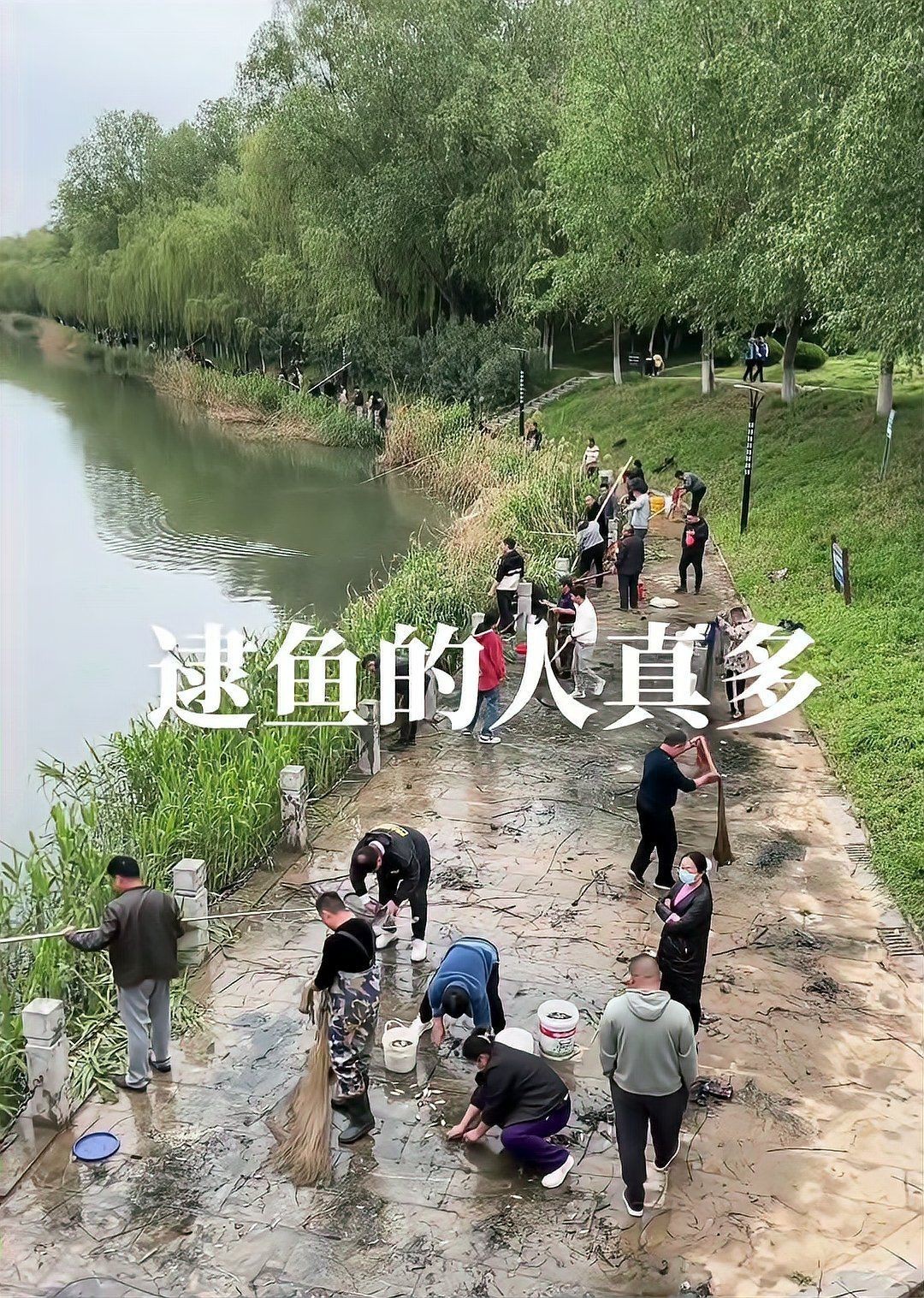 魚浮頭是什么原因【水產第一線,魚都“浮頭”了“頂水”咋回事別慌】 魚浮頭是什么原因【水產第一線,魚都“浮頭”了“頂水”咋回事別慌】 龍魚百科 第6張