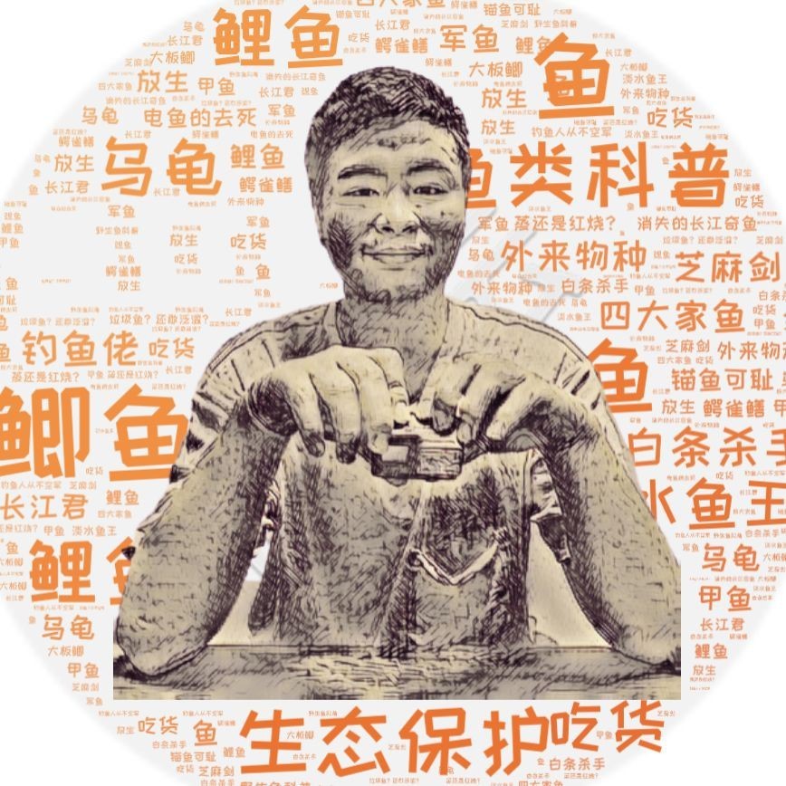 魚浮頭是什么原因【水產第一線,魚都“浮頭”了“頂水”咋回事別慌】 魚浮頭是什么原因【水產第一線,魚都“浮頭”了“頂水”咋回事別慌】 龍魚百科 第7張