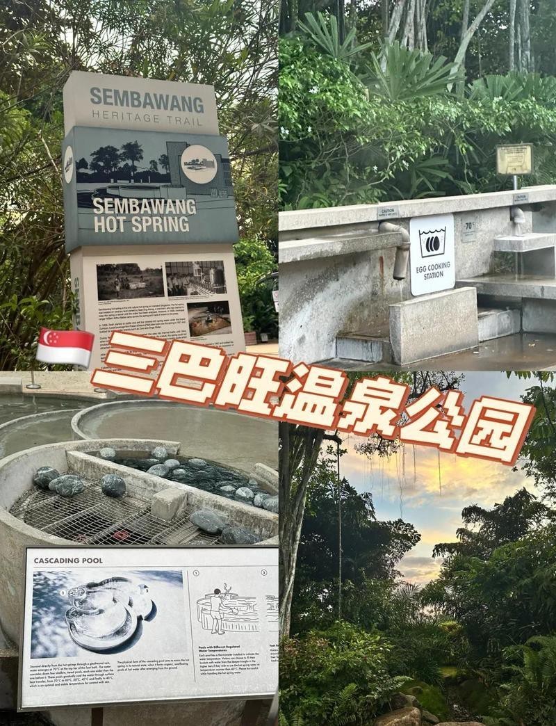 三巴旺屬于新加坡什么檔次【新加坡三巴旺溫泉公園、溫泉公園、溫泉公園、溫泉公園】 三巴旺屬于新加坡什么檔次【新加坡三巴旺溫泉公園、溫泉公園、溫泉公園、溫泉公園】 龍魚論壇 第2張