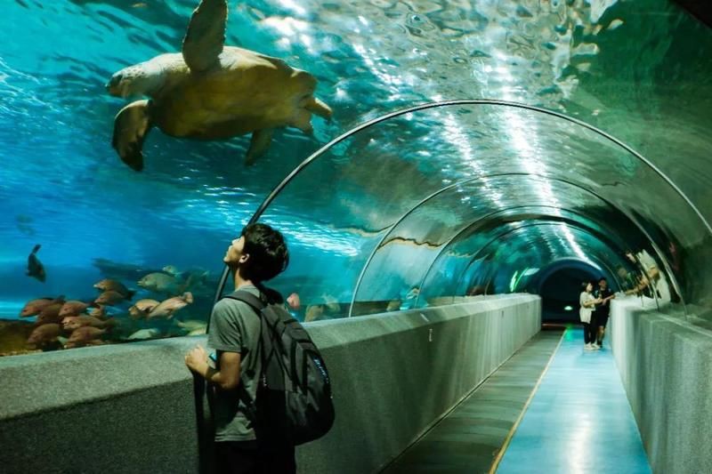 秦皇島水族店【秦皇島兩大水族場館各具特色】