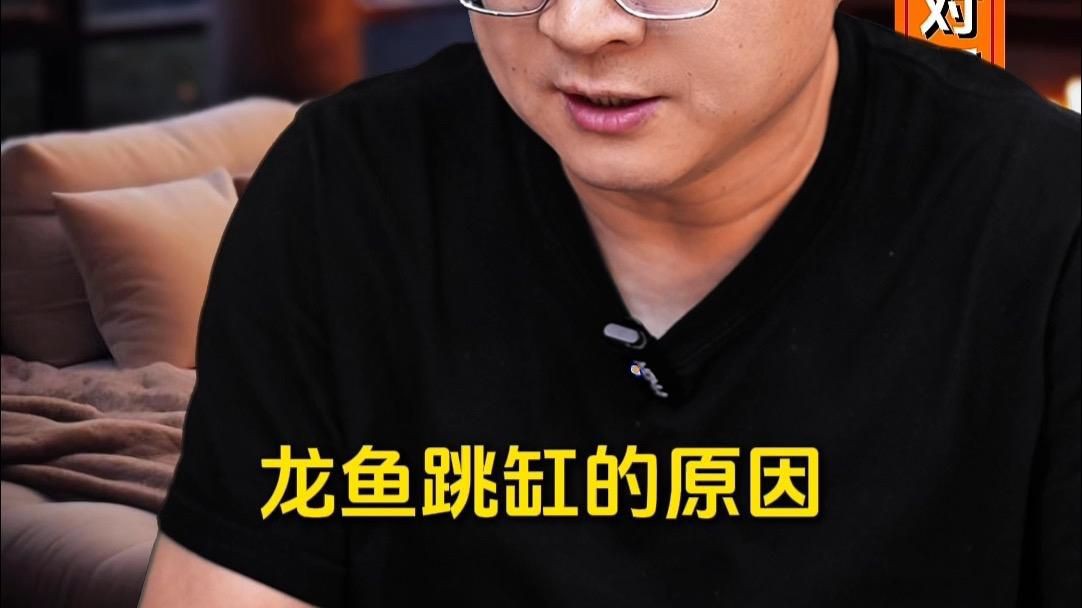 如何預防龍魚再次跳缸？【觀賞魚虎牙直播養雷龍缸10大忠告江月行客龍魚跳缸】