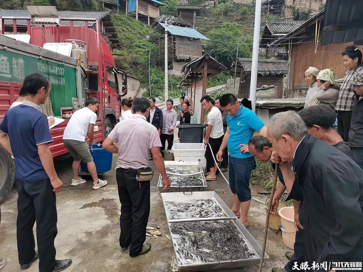 三穗龍魚店【三穗縣福龍魚村酒樓】