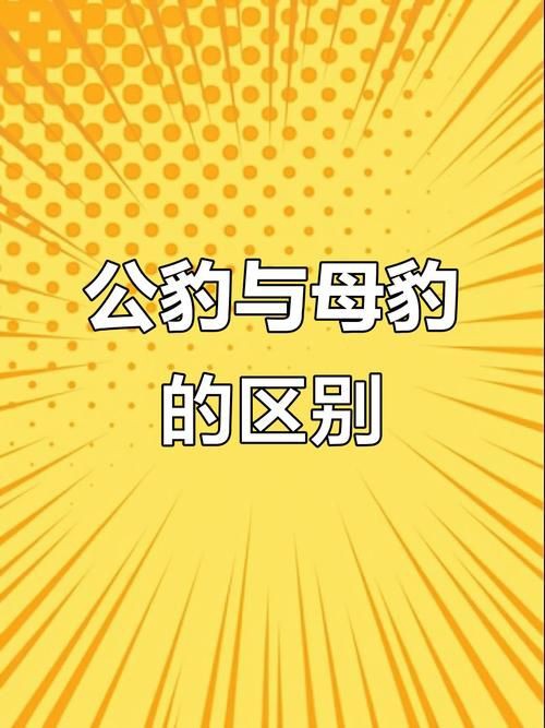 皇冠豹分公母對照表圖【“皇冠豹分公母對照表圖”以直觀的視覺形式呈現了雄性與雌性皇冠豹的差異】